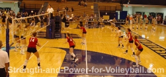 volleyball serve receive line up for setter in zone 5
