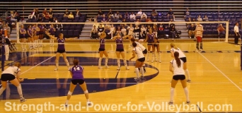 volleyball serve receive line up for setter in zone 6