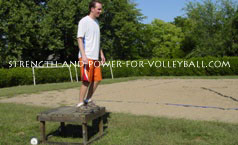 volleyball exercises - squat depth jumps