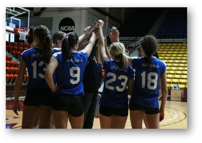 Volleyball history essay picture