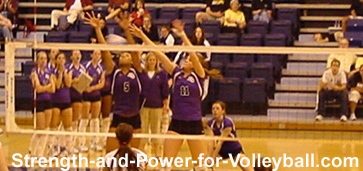 Volleyball Dig Volleyball Dig