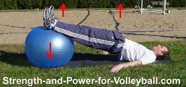 Volleyball strength training functional hamstrings