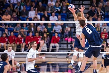 Basic Skills in Volleyball