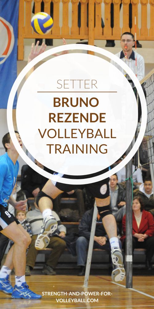 Bruno Rezende Setter Training