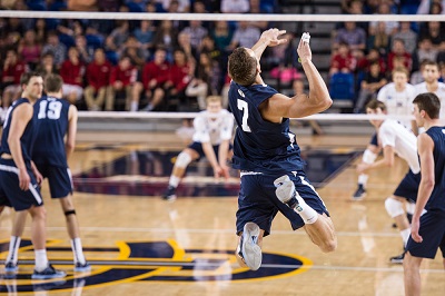 Volleyball muscle serving